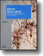 Brain Research journal cover